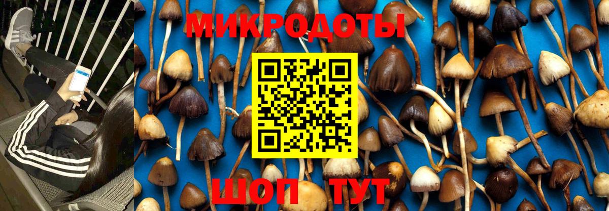 Галлюциногенные грибы Magic Shrooms  наркота  Галлюциногенные грибы мухоморы  Гатчина  Вход с VPN 